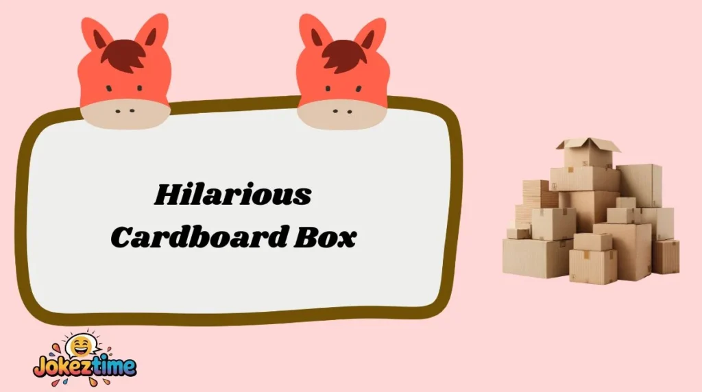 Hilarious Cardboard Box