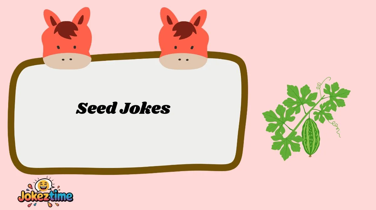 Seed Jokes